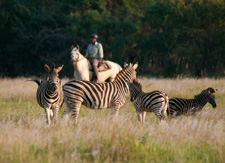 South Africa-Waterberg-Triple B Ranch